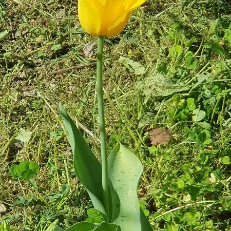 Hephaestus Appartments - A2 *