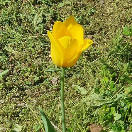 דירה Hephaestus Appartments - A2 *