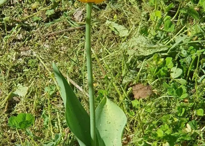 Hephaestus Appartments - A2 *