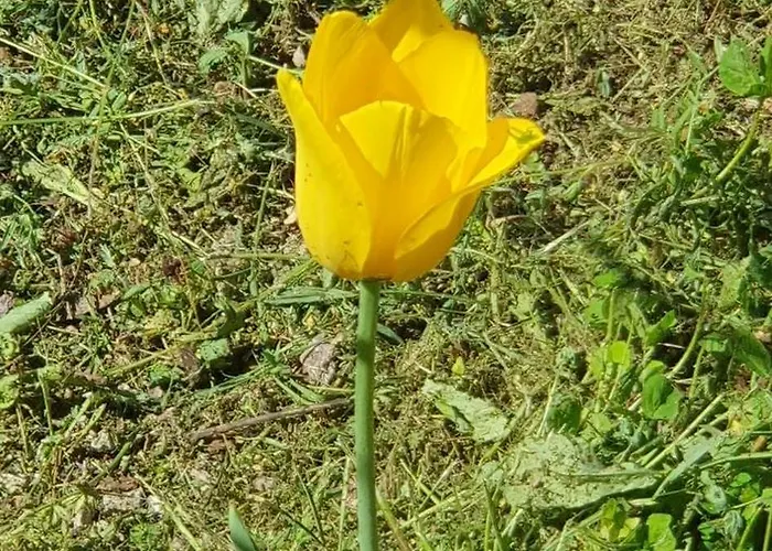 公寓 Hephaestus Appartments - A2 *